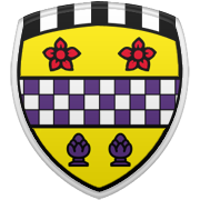 SSG 엠블럼